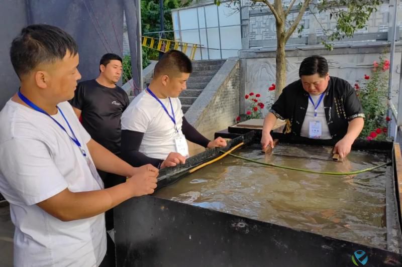 3.1.webp(1).jpg 3.1.webp(1).jpg