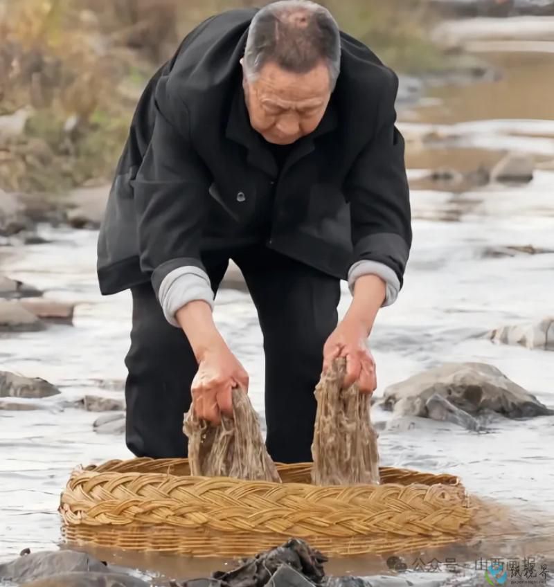 造紙8.jpg 造紙8.jpg