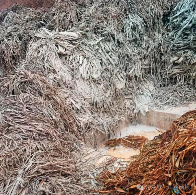 造紙6.jpg 造紙6.jpg