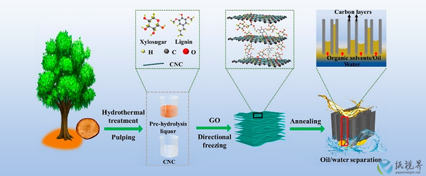 陳克復院士團隊納米纖維素方面最新研究成果