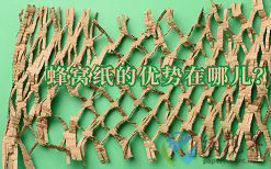 蜂窩紙的優(yōu)勢在哪兒？
