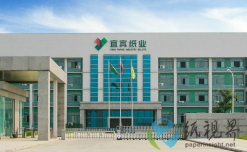 上半年收官！宜賓紙業(yè)表現(xiàn)如何？