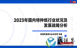  《2023年國(guó)內(nèi)特種紙行業(yè)狀況及發(fā)展戰(zhàn)略分析》第九期：2023年中國(guó)特種紙企及科研機(jī)構(gòu)取得專利情況及研究方向