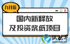 2025年9月公布的國內(nèi)制漿造紙項目情況匯總